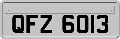 QFZ6013