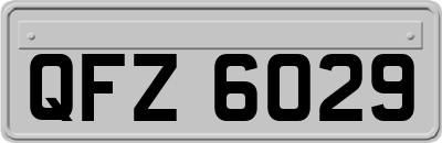 QFZ6029