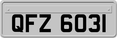 QFZ6031