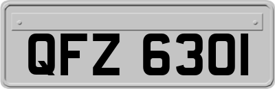 QFZ6301