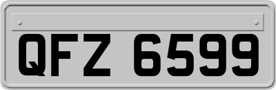 QFZ6599