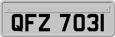 QFZ7031