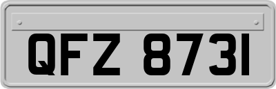 QFZ8731