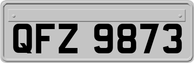 QFZ9873