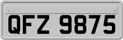 QFZ9875