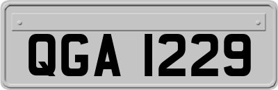 QGA1229