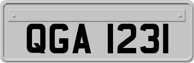 QGA1231