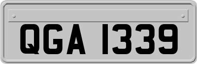 QGA1339