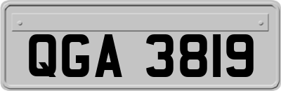QGA3819