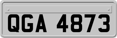 QGA4873