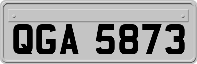 QGA5873