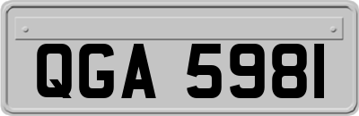 QGA5981
