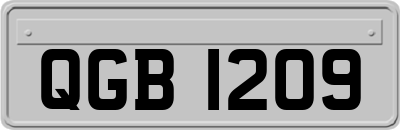 QGB1209