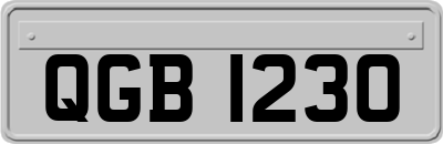 QGB1230