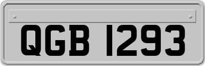QGB1293