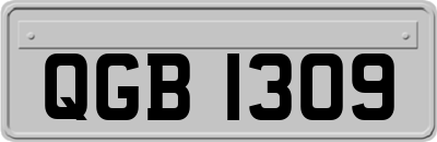 QGB1309