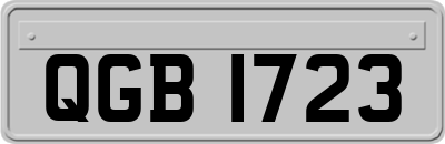 QGB1723