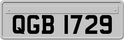 QGB1729