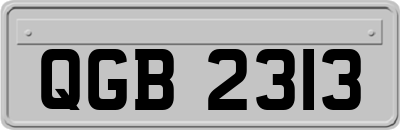 QGB2313
