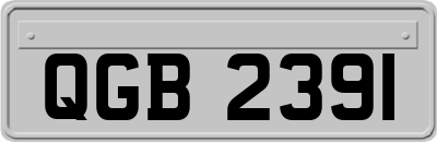 QGB2391