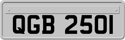 QGB2501