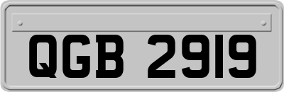 QGB2919