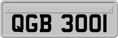 QGB3001