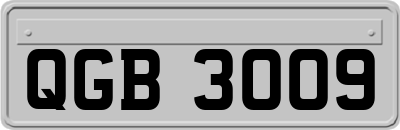 QGB3009