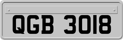 QGB3018
