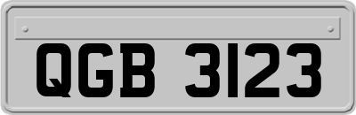 QGB3123