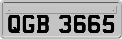 QGB3665