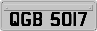 QGB5017
