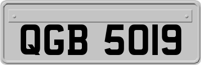 QGB5019