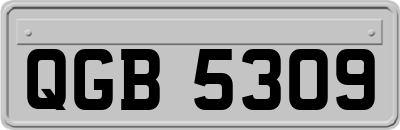 QGB5309