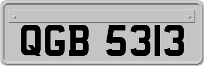 QGB5313