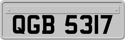 QGB5317