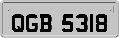 QGB5318