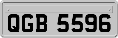 QGB5596