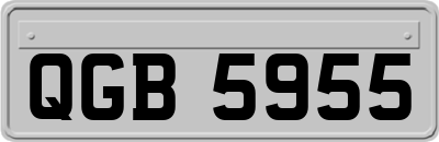 QGB5955
