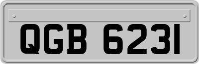 QGB6231