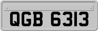 QGB6313