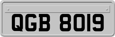 QGB8019