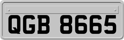 QGB8665