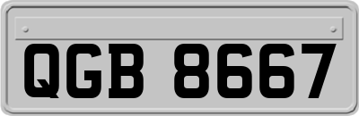QGB8667