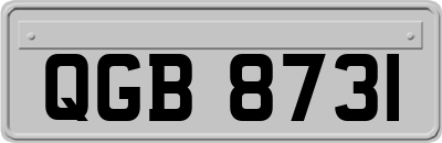 QGB8731