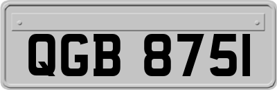 QGB8751