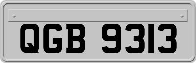 QGB9313