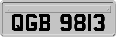 QGB9813