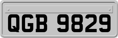 QGB9829