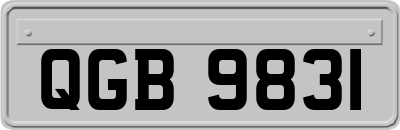 QGB9831
